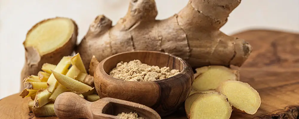 ArcticZen Ginger Extract – Most Studied Ingredient
